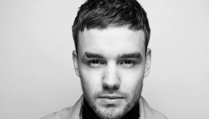 Court reveals who got Liam Paynes massive $29M inheritance