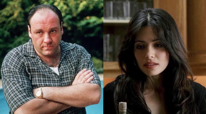 ‘Sopranos' star James Gandolfini's costar shares risqué experience with actor