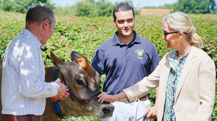 Duchess Sophie meets Belinda the Jersey Cow on sustainable farming visit