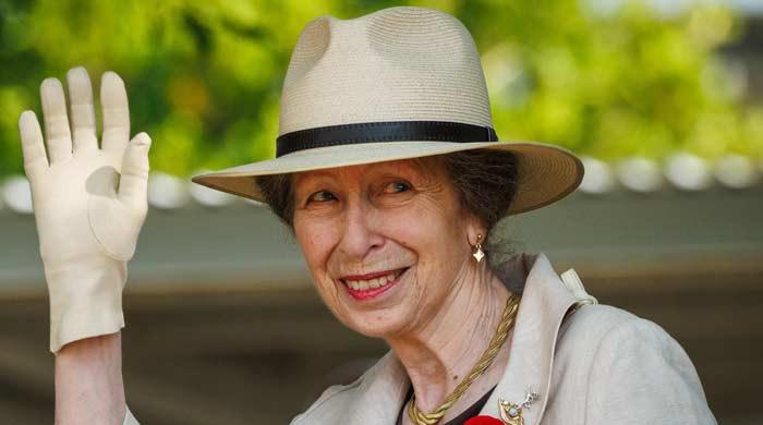 Princess Anne decides to leave UK before Prince Harry's visit