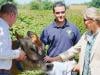 Duchess Sophie meets Belinda the Jersey Cow on sustainable farming visit