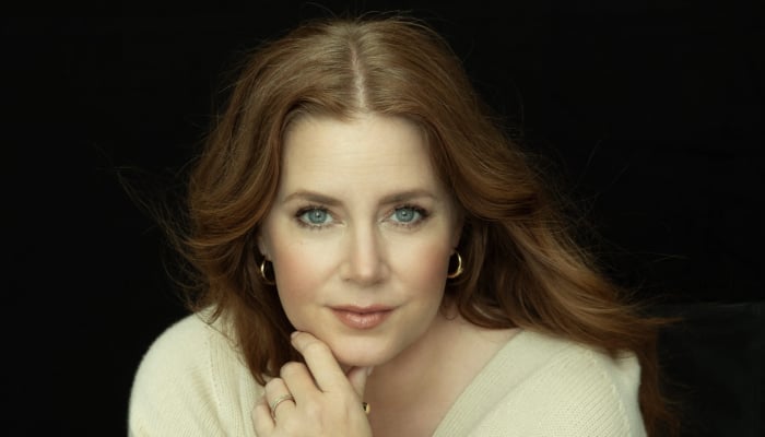 Amy Adams remembers helping out man ‘stabbed in the neck