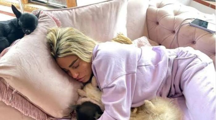 Katie Price suffers another pet loss as Lee Andrews reveals death of her cat
