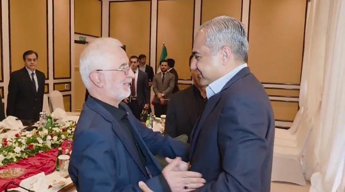 Pakistan to continue efforts for regional stability, Naqvi tells Iranian counterpart