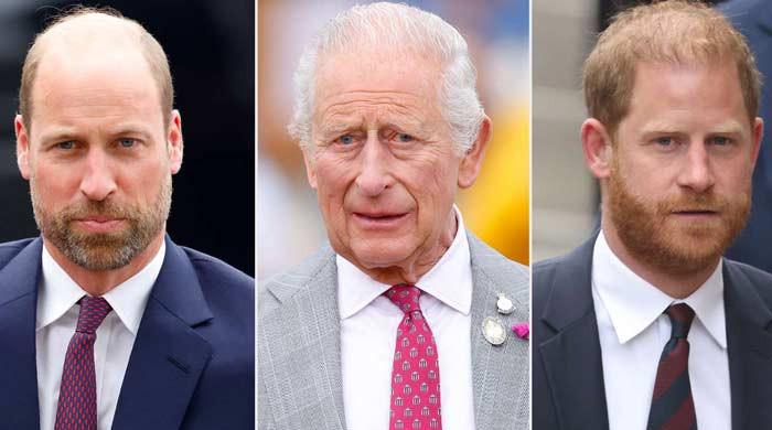 King Charles rules on Prince Harry after William's warning