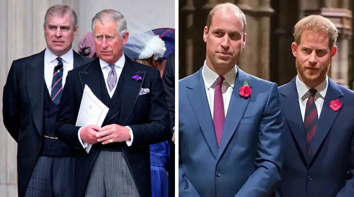 Historian breaks down sibling wars in royal family: ‘worse one yet'