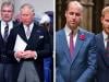 Historian breaks down sibling wars in royal family: ‘worse one yet'