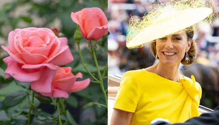 Princess Kate’s heartawarming gesture transforms Arboretum into floral haven