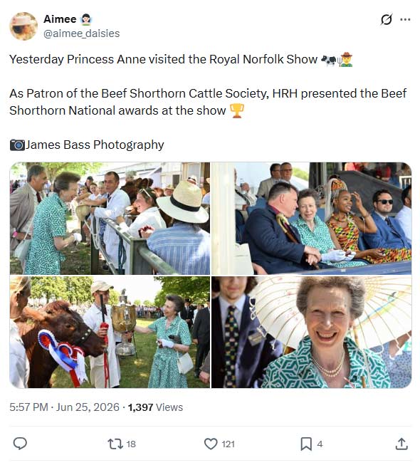 Princess Anne keeps cool while championing coaches after King Charles