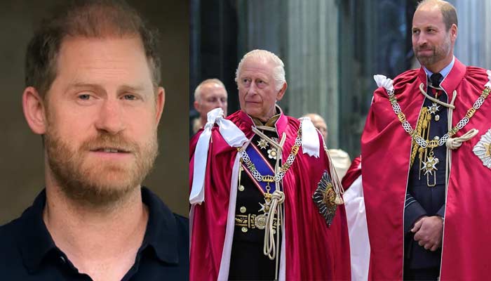 Prince Harry gives nod to Prince William, King Charles in surprise video message
