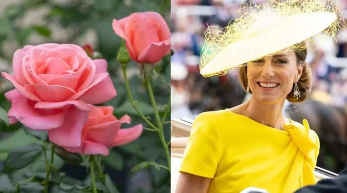 Princess Kate's heartwarming gesture transforms Arboretum into floral haven