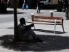 Europe heatwave is 'price to pay for fossil fuel pollution': UN climate chief