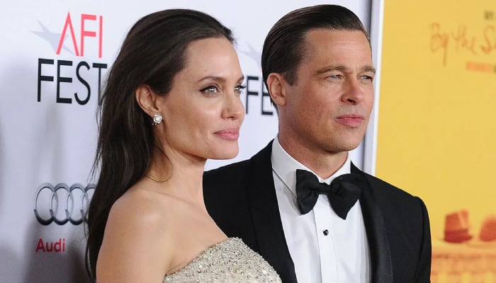 Angelina Jolie face loss in Brad Pitt winery lawsuit