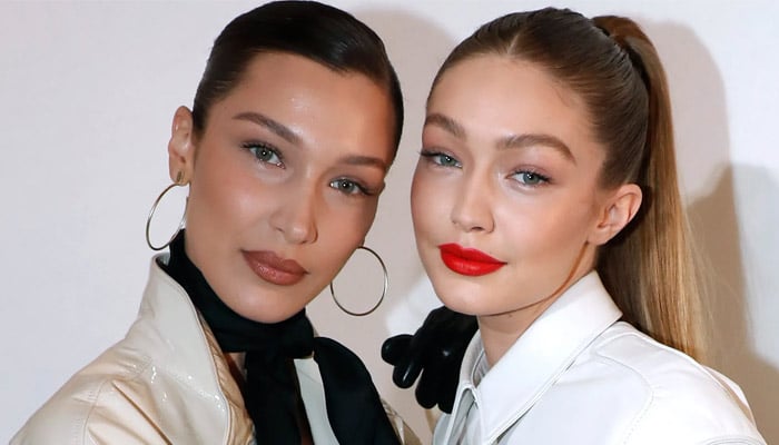 Bella Hadid finds joy in little things amid recent health flare-ups