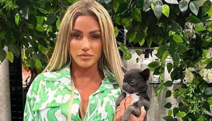 Katie Price begs suspected thief to return missing cats