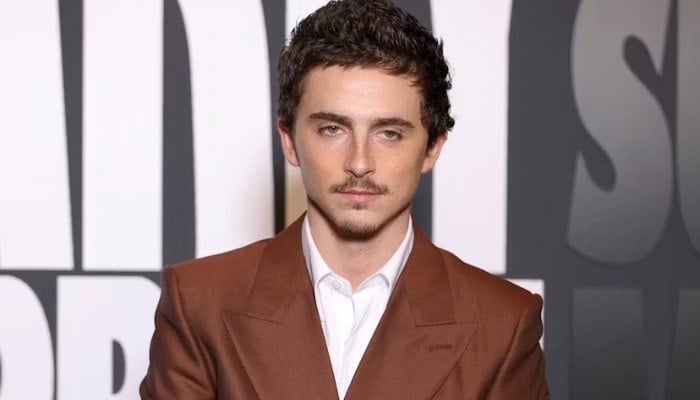 Timothée Chalamet new del shatters his ‘Indie hero’ image