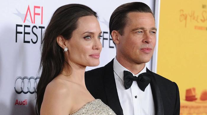 Angelina Jolie faces loss in Brad Pitt winery lawsuit