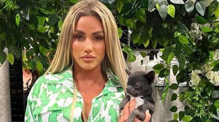Katie Price begs suspected thief to return missing cats