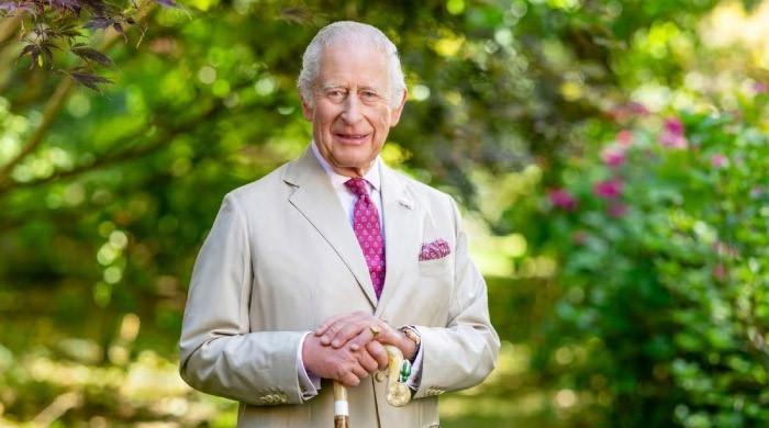 Buckingham Palace makes first statement amid King Charles tax bill talks