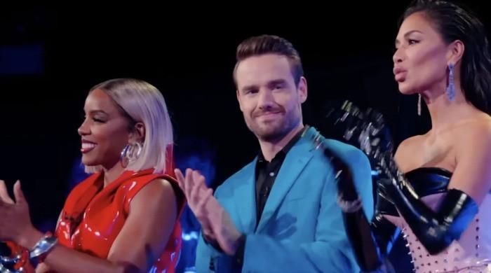 Netflix pulls plug on Liam Payne's final show