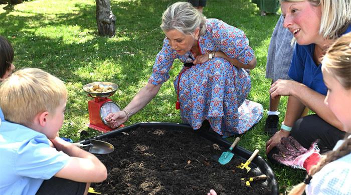 Duchess Sophie sends her 'babies' off to their new home
