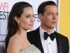 Angelina Jolie face loss in Brad Pitt winery lawsuit