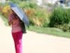 Climate change to blame for intensity of Europe heatwave: scientists