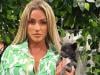 Katie Price begs suspected thief to return missing cats