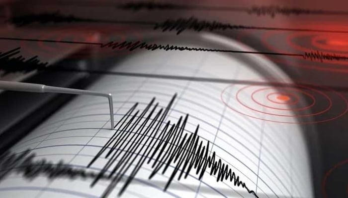 Picture showing a Richter Scale reading of a earthquake. — Reuters/File