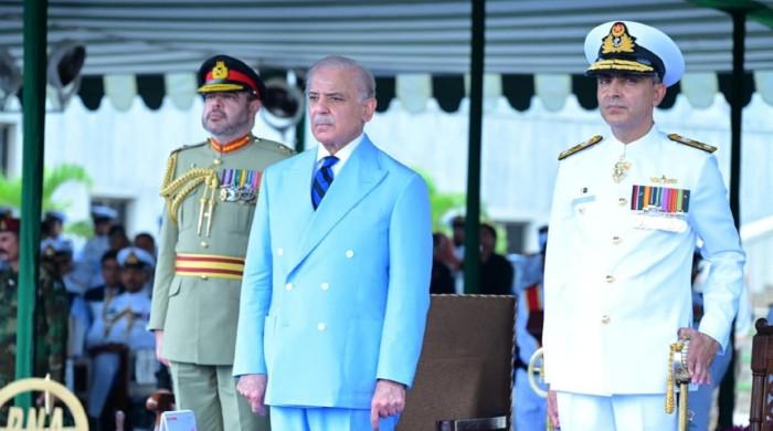 Pakistan recognised globally as flag-bearer of peace, says PM Shehbaz