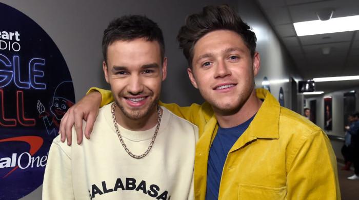 Niall Horan opens up about 'favourite' memory with late Liam Payne