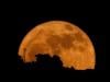 Strawberry moon to light up skies Monday night: Here's everything to know