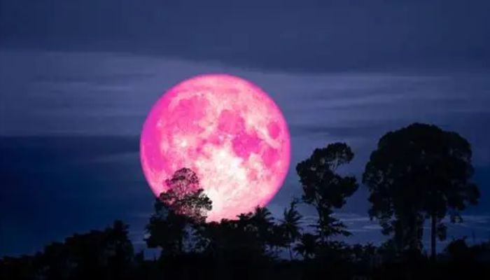 The Strawberry moon often referred to as the Rise Moon, for the blooms at their June peak