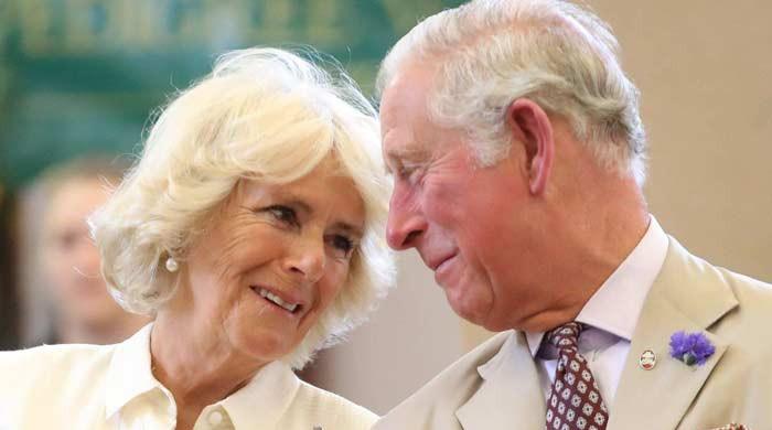King Charles, Queen Camilla step up after engagement backlash