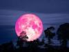 Strawberry Moon set to light up UK skies tonight—but will clouds gatecrash?