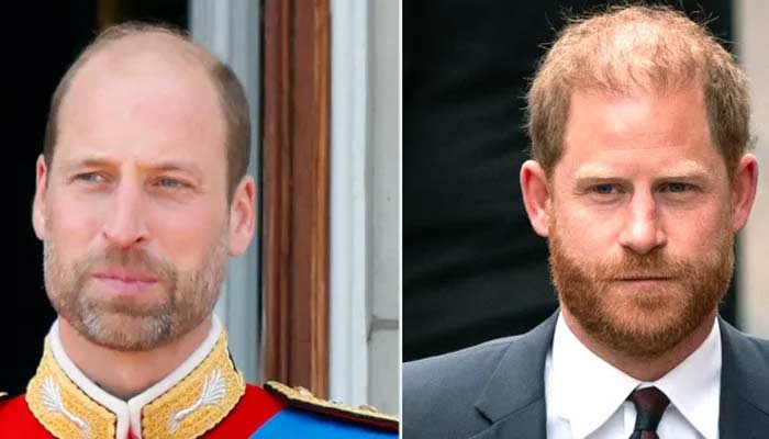 Prince Harry believes people dont know real William’