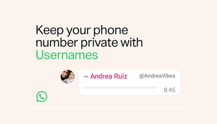 WhatsApp introduces usernames: Heres how to set up yours in 3 easy steps