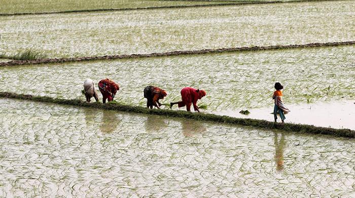 The hidden role of agriculture in population growth