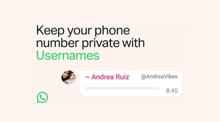 WhatsApp introduces usernames: Here's how to set up yours in 3 easy steps