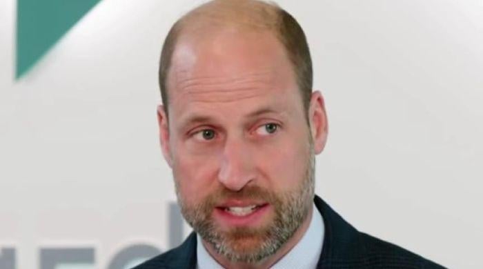 Prince William's lifelong mission: How Princess Diana sparked 30-year crusade to end homelessness