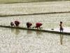 The hidden role of agriculture in population growth