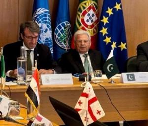 Pakistan takes permanent seat at International Olive Council for first time