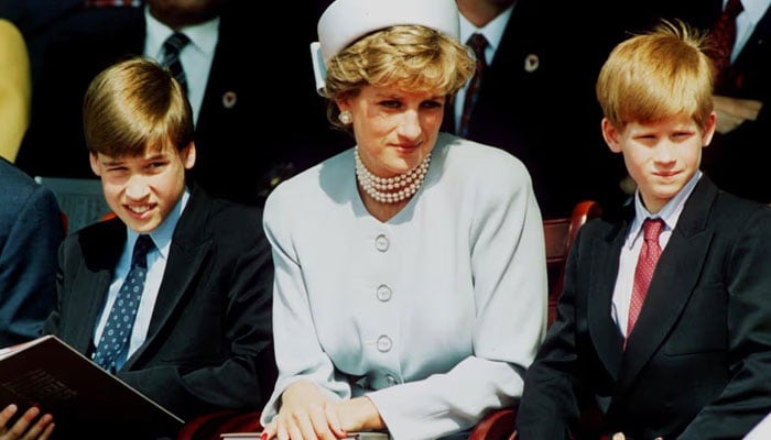 Princess Diana’s ally reveals William, Harry quiet gesture for sombre event