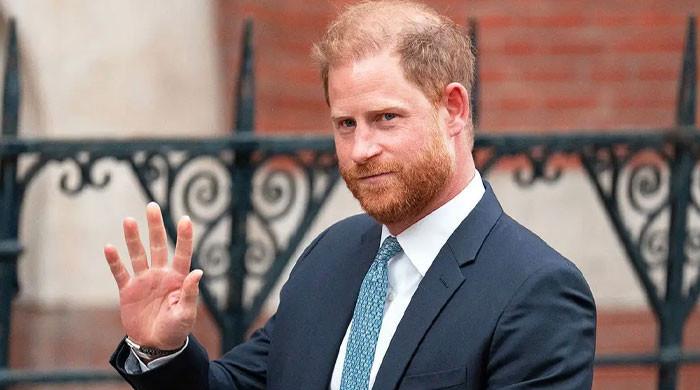 Royal security insider clears air on Prince Harry's protection concerns