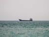 Shipping companies, unions still consider Hormuz a warzone