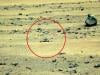 Did NASA just reveal an 'alien gun' on Mars? Red planet mystery goes viral