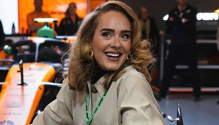 The ‘Hello’ hitmaker thinks it’s ‘ridiculous’ that her job is ‘being a singer’