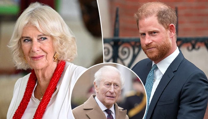 Queen Camilla swallows bitter pill as King Charles takes action for Harry