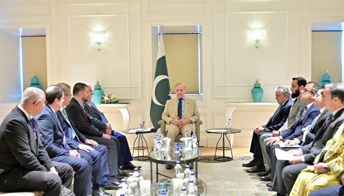 Prime Minister Shehbaz Sharif speaks during a meeting with a business delegation in Istanbul, Turkiye, July 4, 2026. — X/@PakPMO