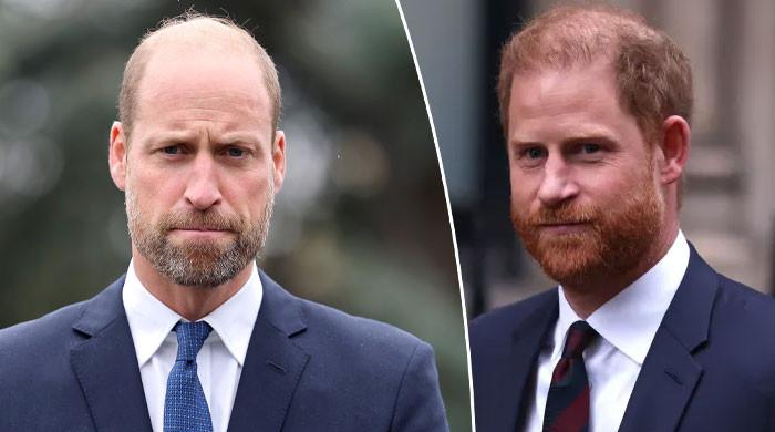 Prince William's unexpected stance on Prince Harry security issue laid bare